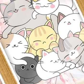 请问你家缺猫吗